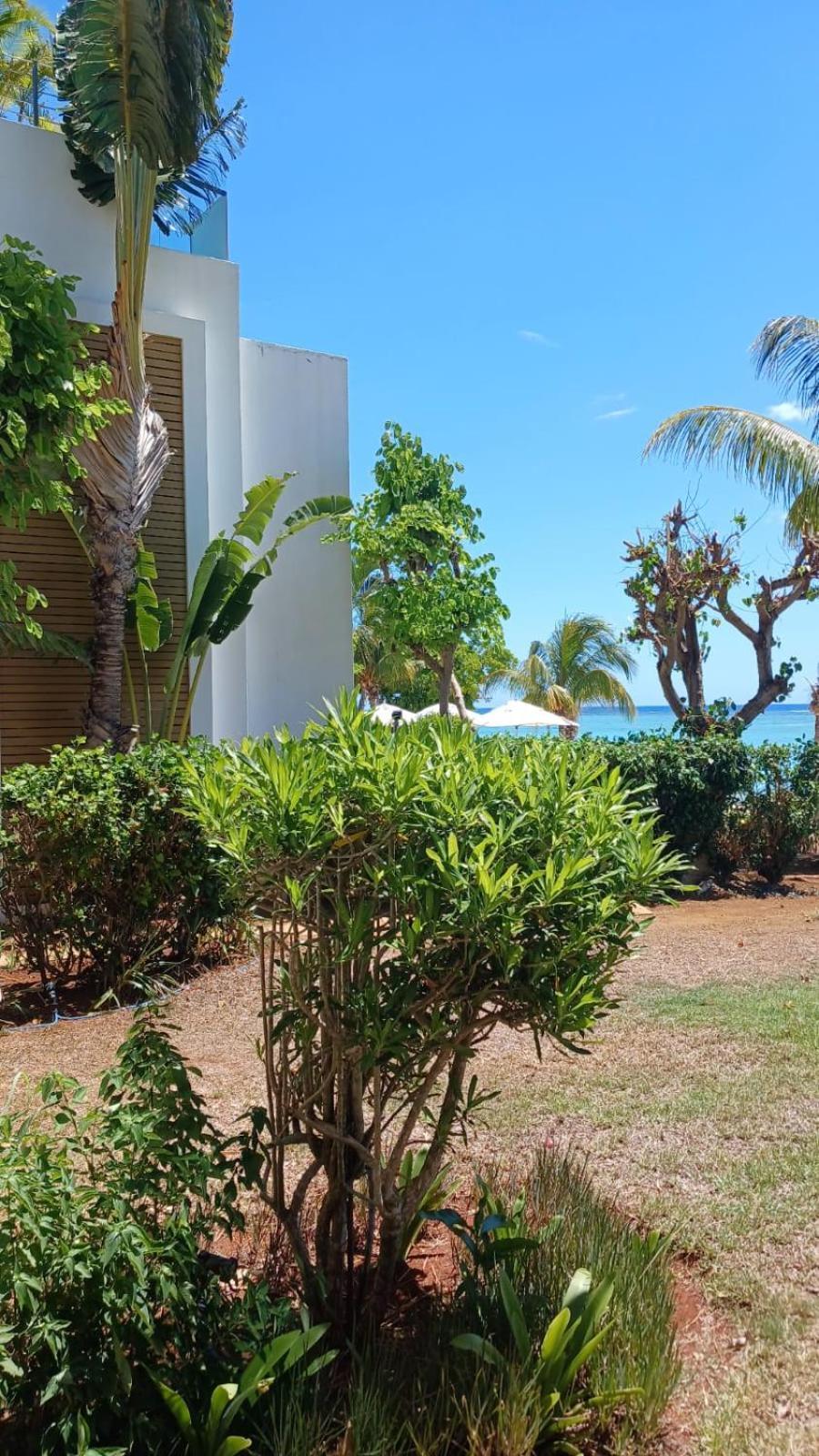 Flic-en-Flacq Cap Ouest Luxury Beachfront מראה חיצוני תמונה
